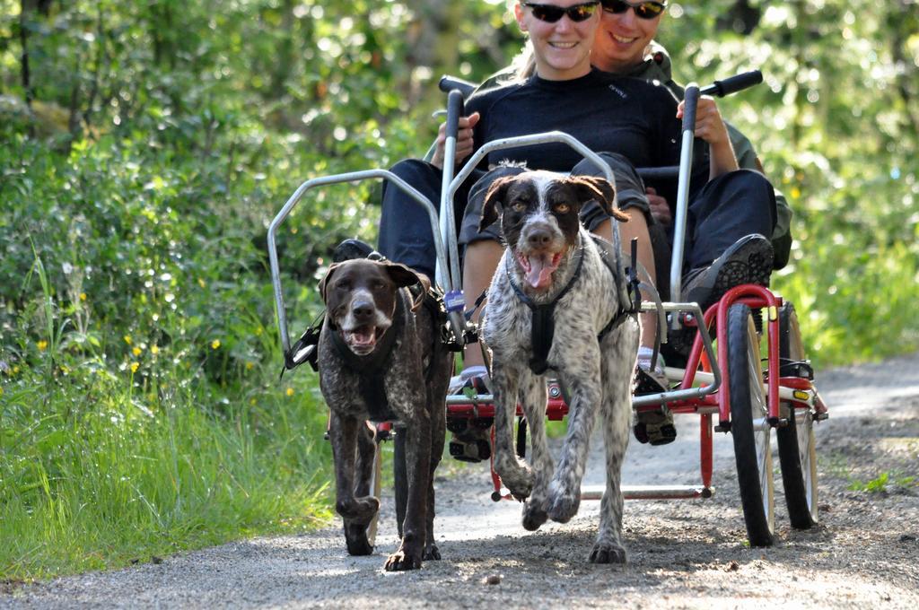 Birkelund Camping Geilo Exteriér fotografie