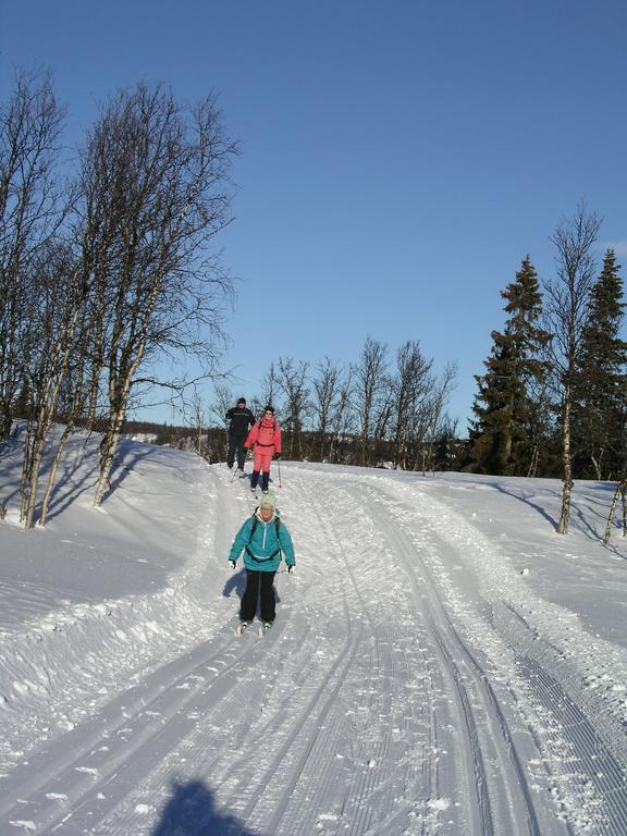 Birkelund Camping Geilo Exteriér fotografie