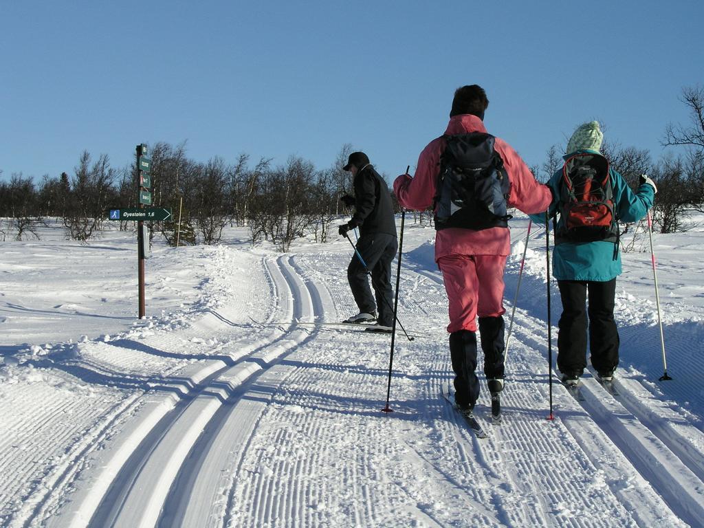 Birkelund Camping Geilo Exteriér fotografie