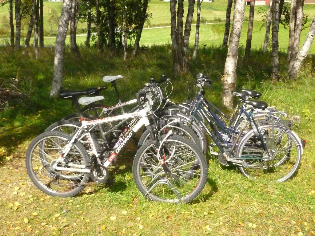 Birkelund Camping Geilo Exteriér fotografie