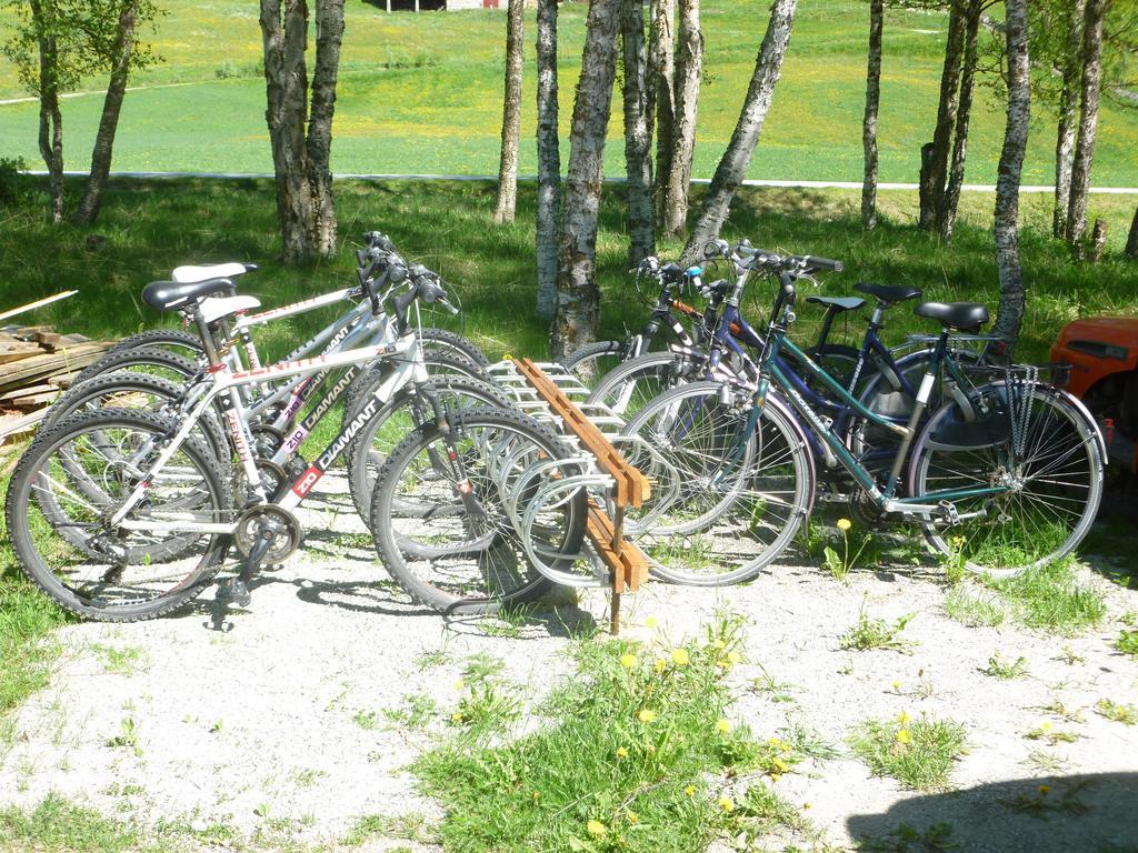 Birkelund Camping Geilo Exteriér fotografie