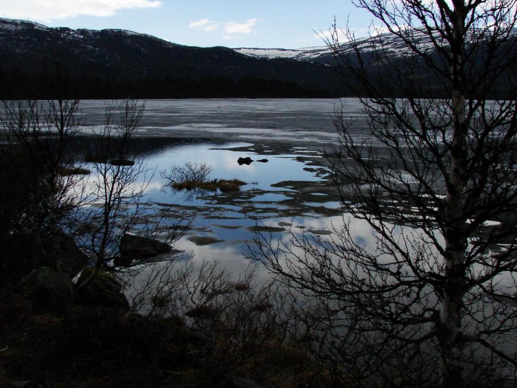 Birkelund Camping Geilo Exteriér fotografie