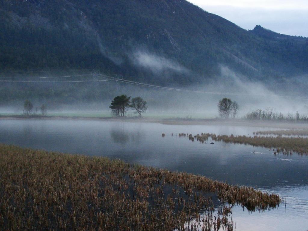 Birkelund Camping Geilo Exteriér fotografie